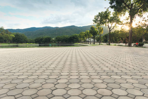 Best Custom Driveway Pavers  in Buckingham, FL