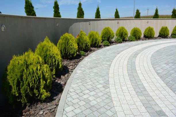 Best Local Driveway Pavers  in Buckingham, FL